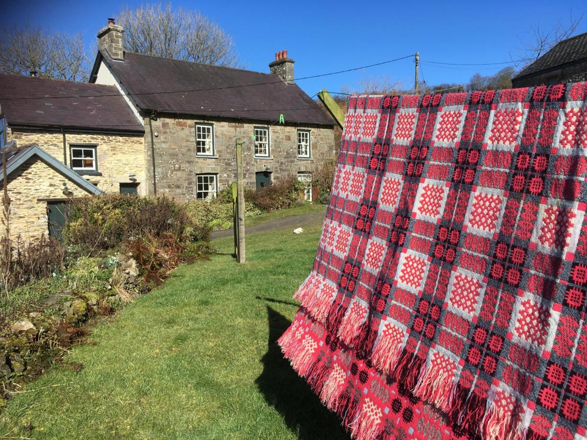 Villa Nantgwynfaen Organic Farm Wales Llandysul Exterior foto