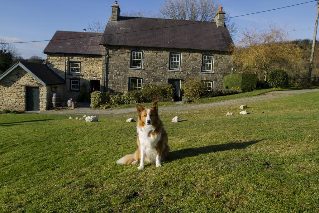 Villa Nantgwynfaen Organic Farm Wales Llandysul Exterior foto